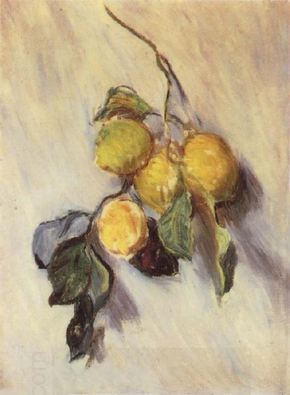 Claude Monet Branch from a Lemon Tree China oil painting art